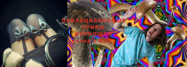 spice Алексин