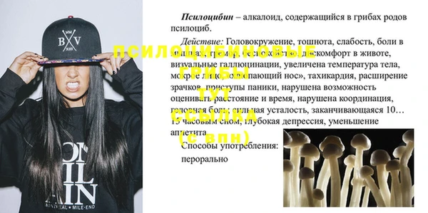 молекула духа Алексеевка