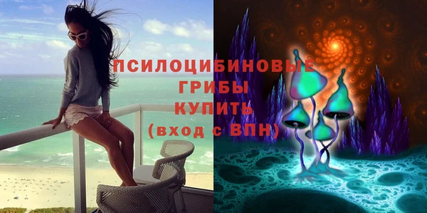 spice Арсеньев