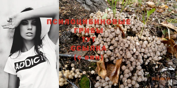 Альфа ПВП Аркадак