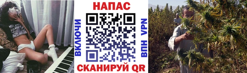 Бошки марихуана план Кольчугино